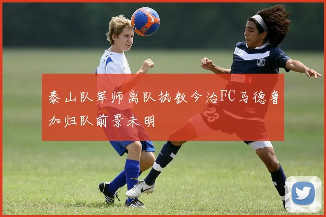 泰山队军师离队执教今治FC马德鲁加归队前景未明